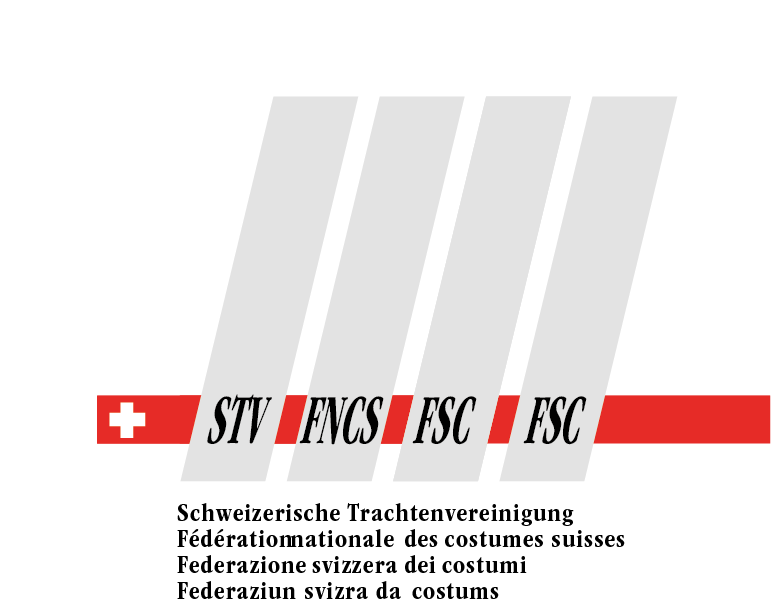 Logo_STV_m_Text.png