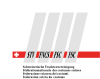 Logo_STV_m_Text.png